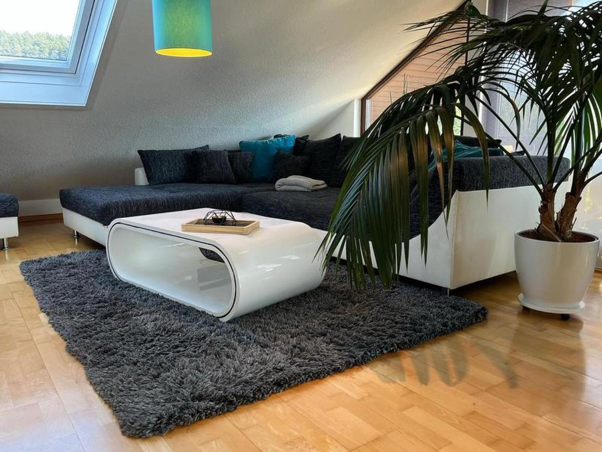 Black Forest Appartement - Brandenkopfblick 젤암하르메스바크 외부 사진